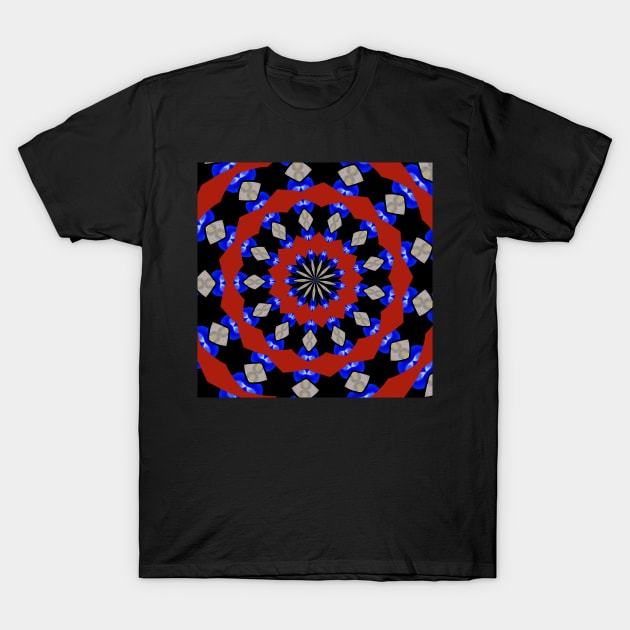 Red Gray Blue Kaleidoscope T-Shirt by Sarah Curtiss